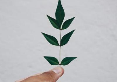 世间人情淡薄经典语录(合集40句)