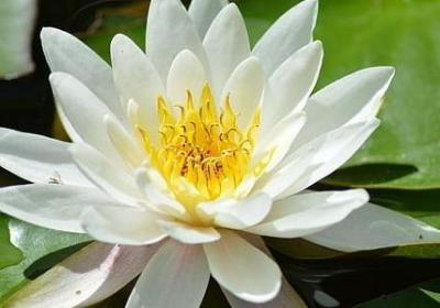 30岁生日祝福语老公(必备35句)