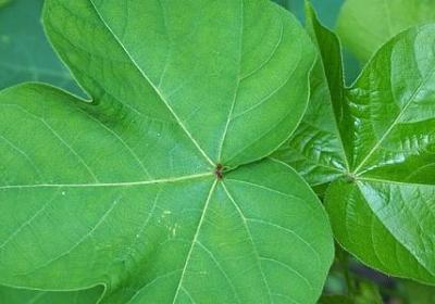 一个人的世界经典句子(必备50句)