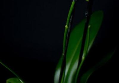 与佛对话经典语录(合集40句)