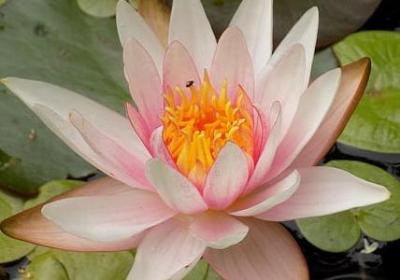 100句简单的英语句子(推荐140句)