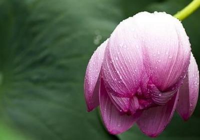 下雨天结婚祝福语(精选40句)