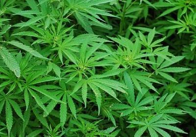 乔迁之喜祝福语简短(共60句)