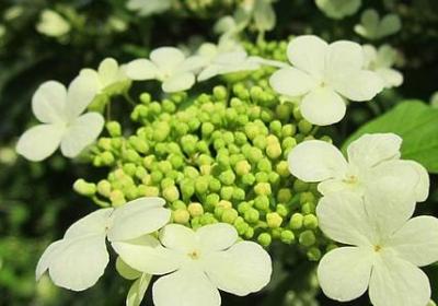 10年的句子(通用40句)