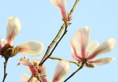 一到九祝福语(热门9句)