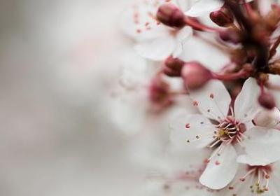 入殓师经典语录(必备69句)
