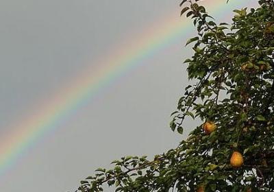 下雨想念爱人的句子(通用50句)