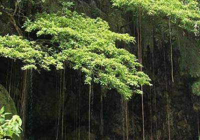 下雨想念一个人的句子(必备50句)