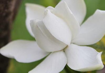 五一劳动节节日祝福语(合集50句)