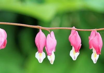 光棍节经典语录(必备80句)