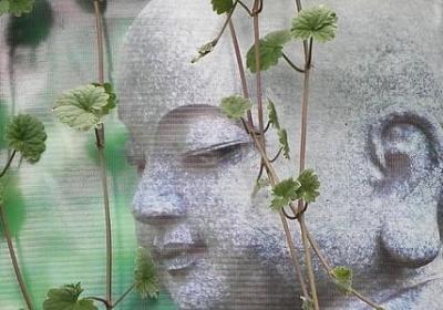 主麻吉庆的祝福语(通用50句)