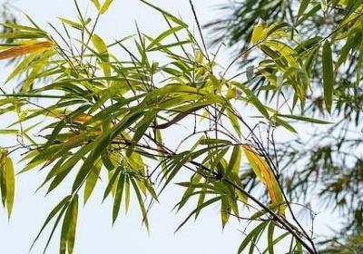 19岁生日祝福语(共50句)