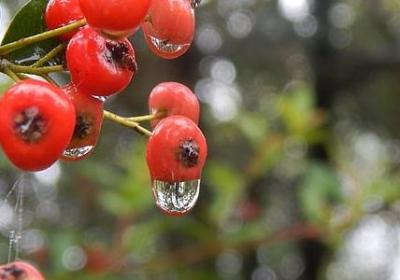 人生迷茫时的励志语录(精选50句)