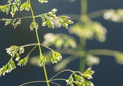 一语双关的句子大全(合集60句)