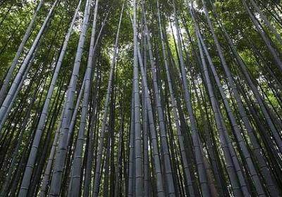 人生鸡汤励志语录(合集50句)