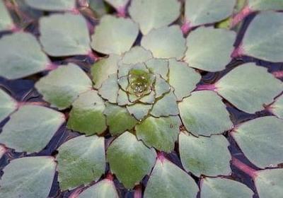 下雨的早晨唯美句子(推荐40句)