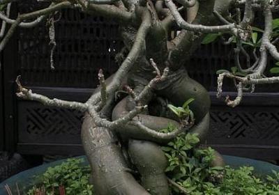 不去打扰别人的句子(推荐90句)