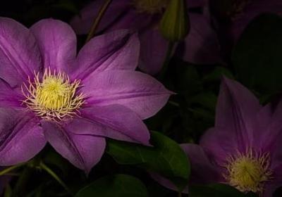 三八节幽默祝福语(汇总50句)