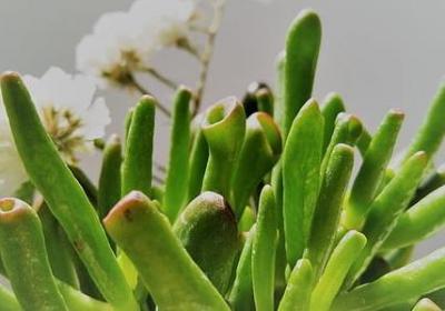 中年生日祝福语(30句)