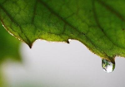 50个正能量励志小故事(优选40句)