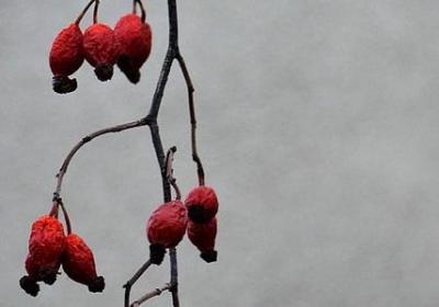 作文励志(热门50句)