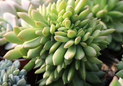 关于励志的句子简短(合集60句)