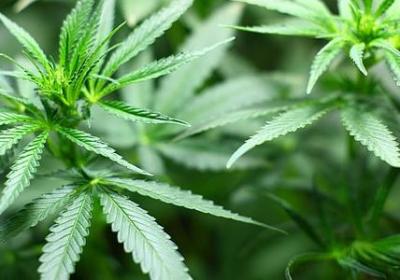 三十岁女人生日祝福语(必备8句)