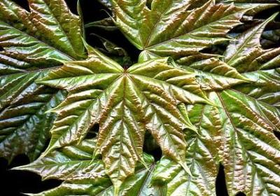 中秋节祝福语送客户(实用40句)