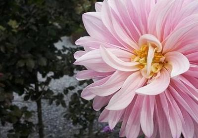 九九重阳节的祝福语(汇总40句)
