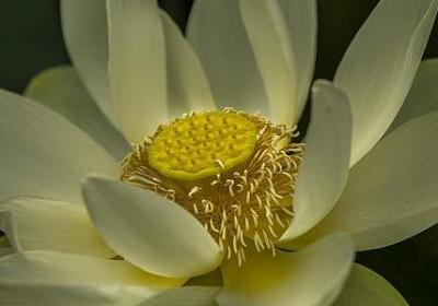 一周岁祝福语简短(通用70句)