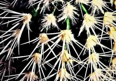 三八节祝福语大全(49句)