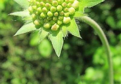 兄弟一路走好经典语录(精选80句)