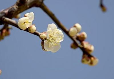 云中歌经典语录(合集80句)