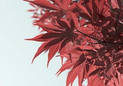 一个人一杯咖啡的句子(通用50句)