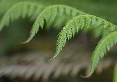 30年珍珠婚祝福语(实用30句)