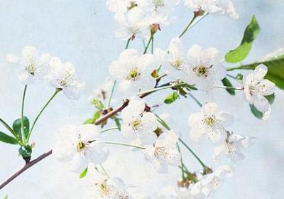 五一劳动节励志语(热门61句)