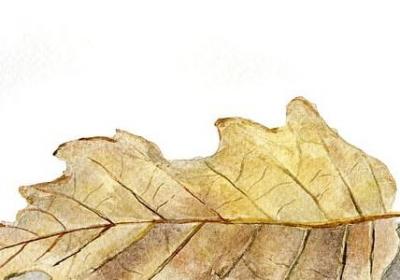 80岁老人生日祝福语(精选10句)