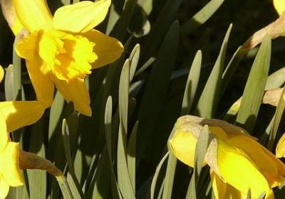 摇滚精神经典语录(必备99句)