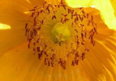 烦心事的经典语录(汇总60句) 烦心事的经典语录(汇总60句)