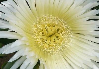 游戏经典语录(推荐50句) 游戏经典语录(推荐50句)