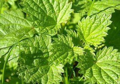 玩的就是心跳经典语录(88句) 玩的就是心跳经典语录(88句)