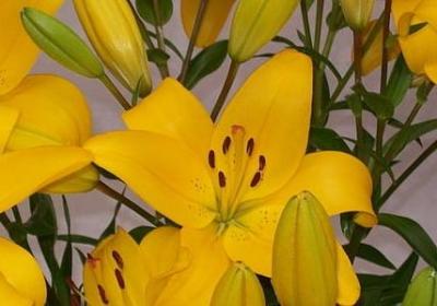 痛而不语笑而不言的经典语录6(优选60句) 痛而不语笑而不言的经典语录6(优选60句)