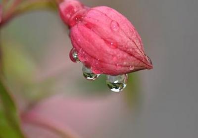 烽火戏诸侯经典语录(必备90句) 烽火戏诸侯经典语录(必备90句)