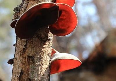 爱不将就的经典语录(实用50句)