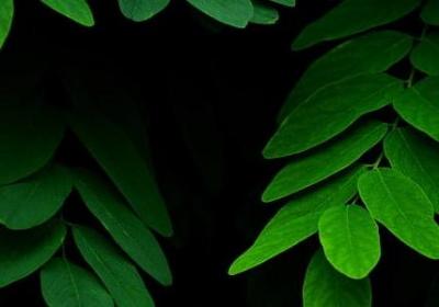 狼人杀 经典语录(优选80句)