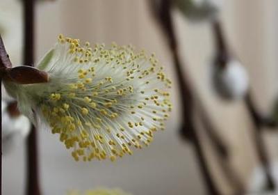 爱情就像什么经典语录(优选70句)