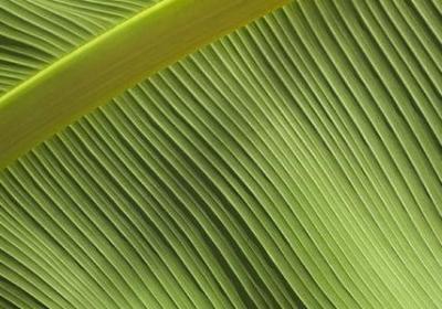 涂磊说的经典语录(精选50句)