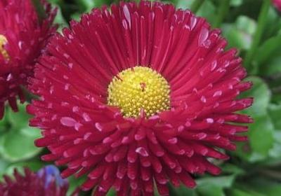 社会是残酷的经典语录(合集60句)