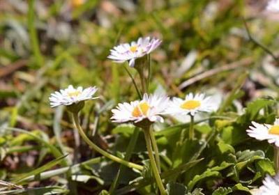 相识纪念日经典语录(精选70句)