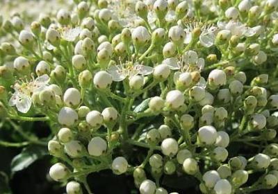 火蓝刀锋经典语录励志(合集80句)